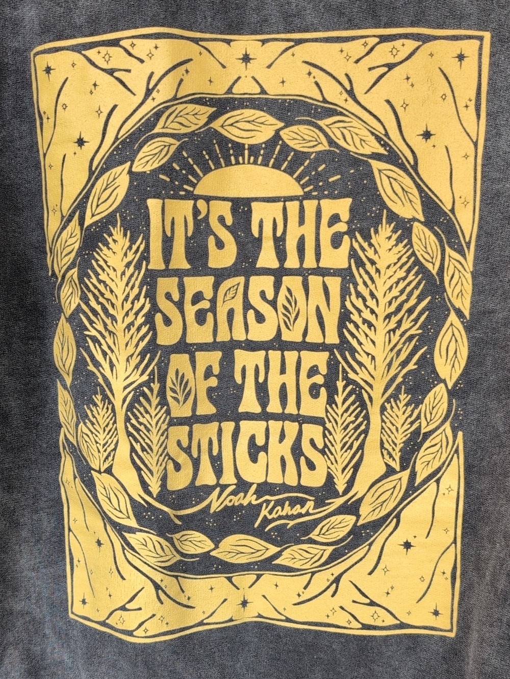 Official Noah Kahan Stick Season Vintage Black Mineral Wash Hoodie -Womens Large - Picture 7 of 7